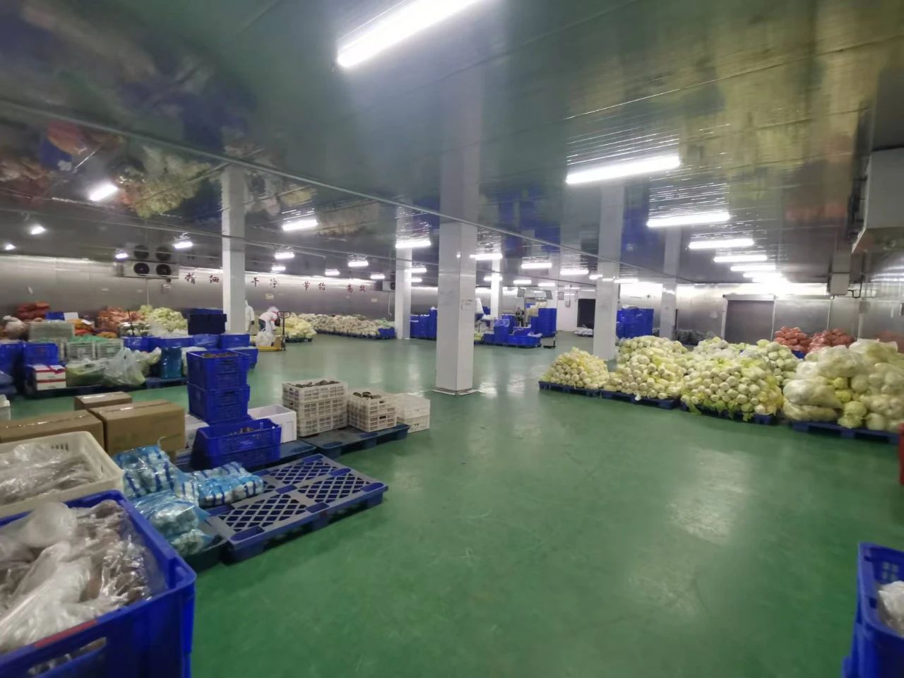 1744855471744397.jpg 2.jpg