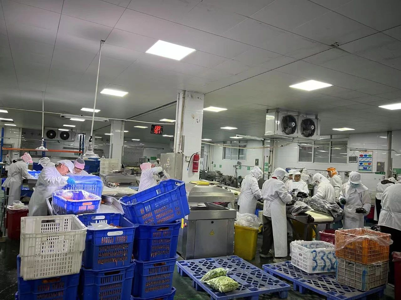 1744855503779068.jpg 5.jpg